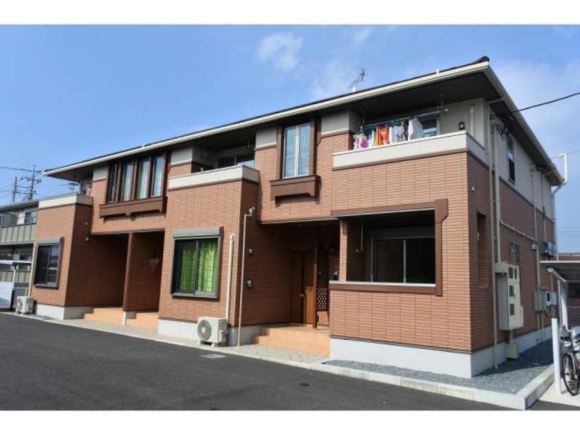  LUPINUS（ルピナス）