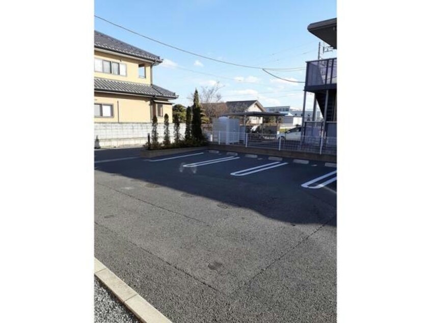  LUPINUS（ルピナス）