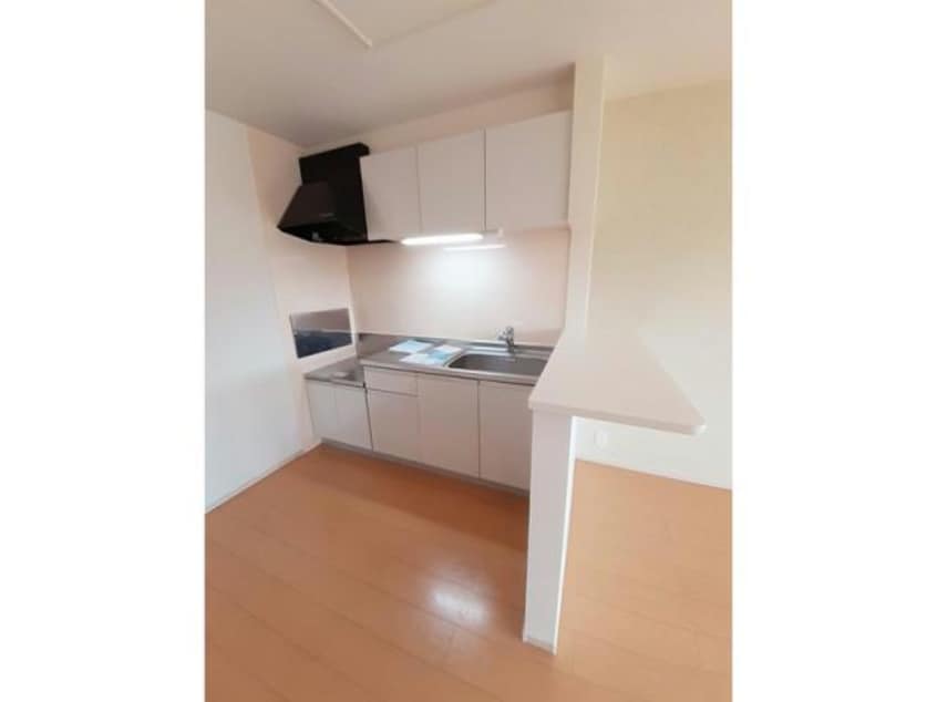  LUPINUS（ルピナス）