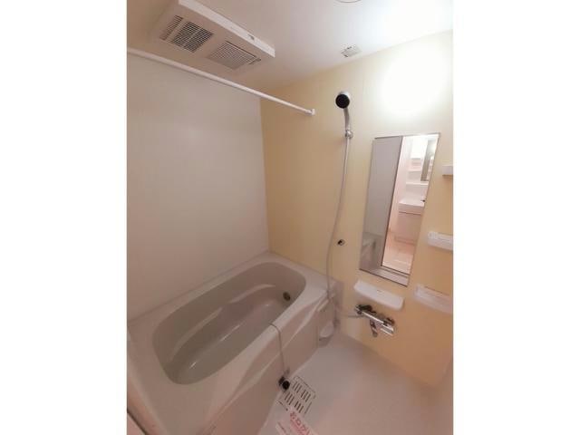  LUPINUS（ルピナス）