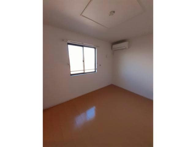  LUPINUS（ルピナス）