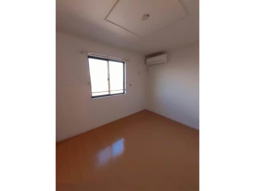  LUPINUS（ルピナス）