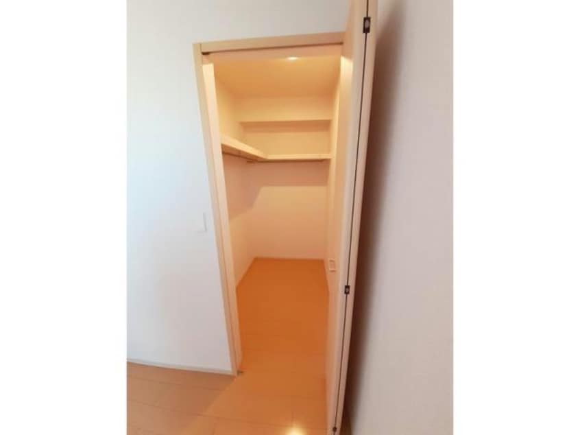  LUPINUS（ルピナス）