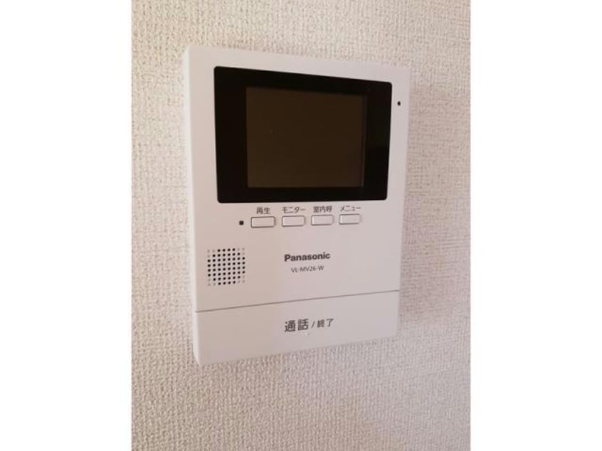  LUPINUS（ルピナス）