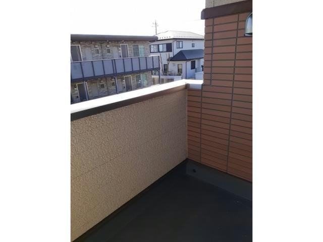  LUPINUS（ルピナス）