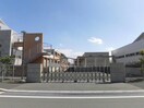 伊勢崎市立赤堀中学校(中学校/中等教育学校)まで1981m テラス田園A（市場町）