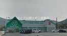 ザグザグ彦崎店(ドラッグストア)まで3130m 野村邸