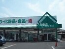 ザグザグ玉島店(ドラッグストア)まで1281m サンヒルズてまり