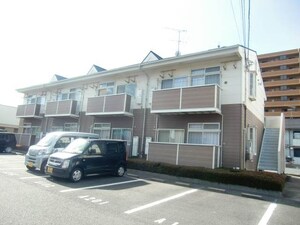 ニューシティツインメイプル