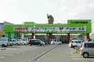 ディオ玉島店(スーパー)まで1224m 玉島乙島戸建て