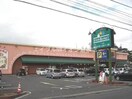 ニシナフードバスケット羽島店(スーパー)まで616m A.z.A鶴形