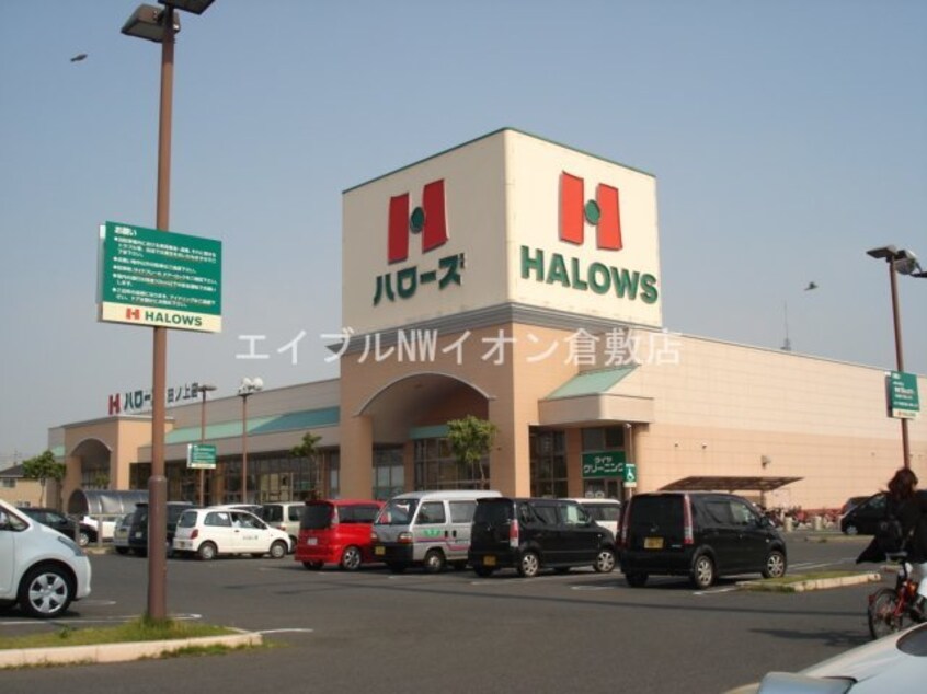 ハローズ田ノ上店(スーパー)まで1635m シェノン