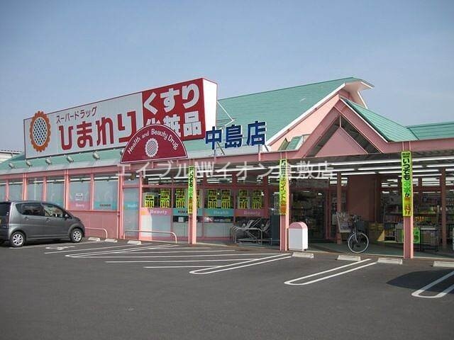 スーパードラッグひまわり中島店(ドラッグストア)まで731m コーポ藤田