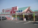 スーパードラッグひまわり中島店(ドラッグストア)まで731m コーポ藤田