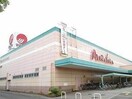 山陽マルナカ中島店(スーパー)まで453m グリーンコーポ板谷Ｂ棟