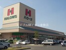 ハローズ　広江店(スーパー)まで500m ラヴィベールアイ　Ⅱ