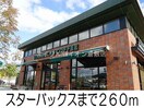 スターバックス(その他飲食（ファミレスなど）)まで260m ロード　ナカシマ