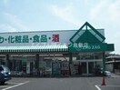 ザグザグ玉島店(ドラッグストア)まで2818m 山善マンション