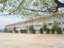 倉敷市立中島小学校(小学校)まで821m 平屋戸建て三島借家