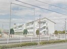 倉敷市立倉敷南小学校(小学校)まで406m ビーライン西富井