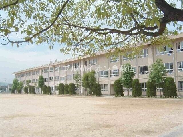 倉敷市立中島小学校(小学校)まで1290m サンライフ中島ⅡC