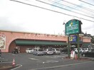 ニシナフードバスケット羽島店(スーパー)まで814m Sai