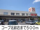 コープ北畝店(スーパー)まで500m エム・トリトン