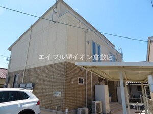 サンフラワー