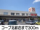 コープ(スーパー)まで300m ニュ－エルディム北畝Ｂ