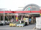 ナンバ倉敷店(電気量販店/ホームセンター)まで265m サンライズ吉岡