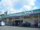 ドラッグセイムス児島小川店(ドラッグストア)まで1105m サンビレッジ児島　Ｊ棟