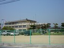 西阿知小学校・幼稚園(小学校)まで80m ルナ・アルカディア壱番館