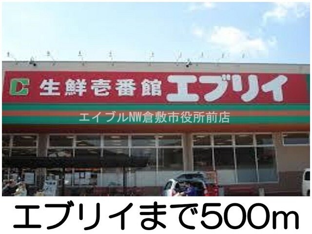 エブリイ(スーパー)まで500m ニューシティＫ＆Ｅ