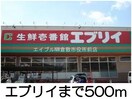 エブリイ(スーパー)まで500m ニューシティＫ＆Ｅ