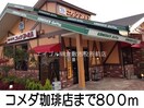 コメダ珈琲店(その他飲食（ファミレスなど）)まで800m ソレイユメゾン