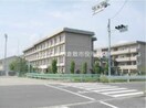 東陽中学校(中学校/中等教育学校)まで928m セジュールアレイ　A棟