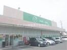 ザグザグ連島店(ドラッグストア)まで409m シャトレ・ウエストB