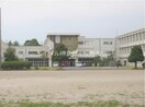 倉敷市立福田中学校(中学校/中等教育学校)まで2082m トマトハウス