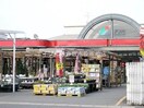 ナンバ倉敷店(電気量販店/ホームセンター)まで1120m ル・ココン