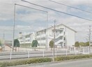 倉敷市立倉敷南小学校(小学校)まで1048m サンガーデン西富井B棟