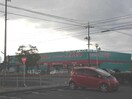 ダイキ水島店（ホームセンター）(電気量販店/ホームセンター)まで302m ミルキーウェイ