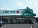 ザグザグ玉島店(ドラッグストア)まで894m 滝澤コーポ