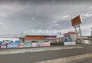 オートバックス笹沖店(電気量販店/ホームセンター)まで33m シエルクレール　B棟