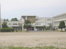 倉敷市立福田中学校(中学校/中等教育学校)まで653m ヴィラ・アムールⅡ