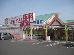 スーパードラッグひまわり中島店(ドラッグストア)まで550m ダックハウス中島　Ｂ棟