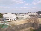 倉敷市立東中学校(中学校/中等教育学校)まで1051m 日ノ出町戸建貸家