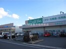 セブンイレブン連島中央３丁目店(コンビニ)まで260m サンリット