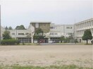 倉敷市立福田中学校(中学校/中等教育学校)まで373m ジョイ福田