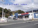 トライアル大和町店(ディスカウントショップ)まで3800m フォーリスト黒髪