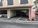  クローバー藤原